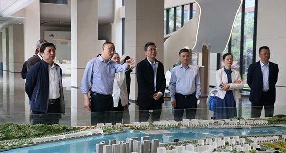 省人大常委会委员陈根芳调研bifa必发集团