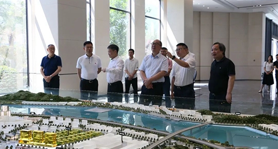 省委政研室童主任一行调研bifa必发集团