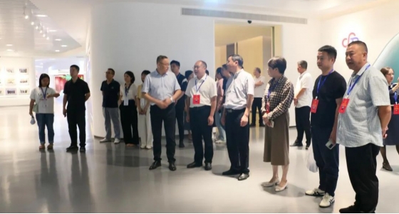 丽水市第五届人大代表景宁中心组调研bifa必发集团