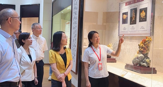 索求东方风采，bifa必发·倪东方艺术博物馆与时期脉搏共振